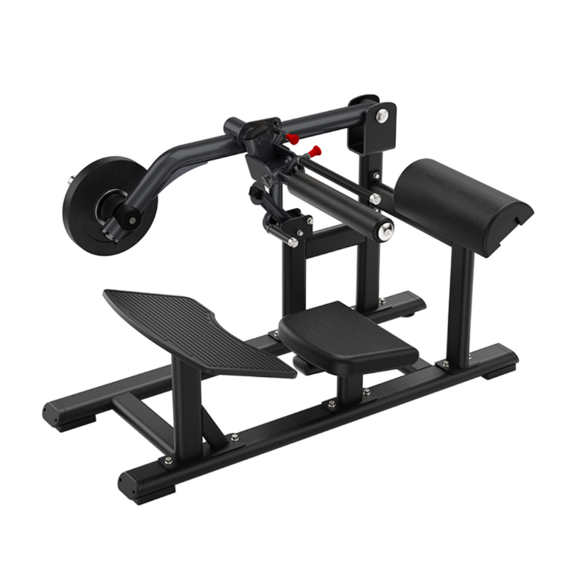 SFE Commercial Plate Loaded Hip Thrust Glute Machine – Sports & Fitness  Exchange