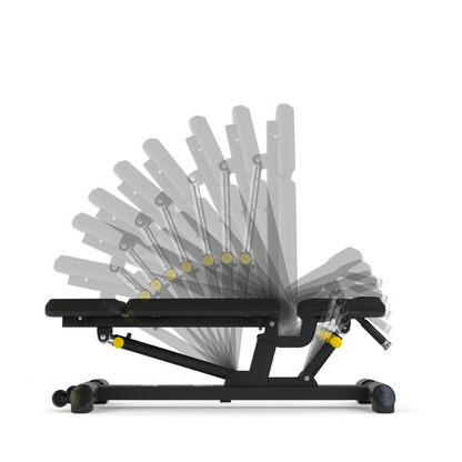 Gray PULSE Fitness Classic Olympic 4 in 1 Rack - With Disc Storage and Adjustable Bench [Black]